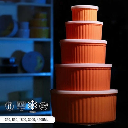 Icon Food Container (5pcs set)