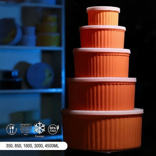 Icon Food Container (5pcs set)